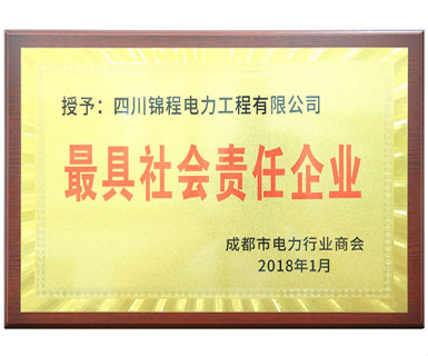 最具社會責(zé)任企業(yè)